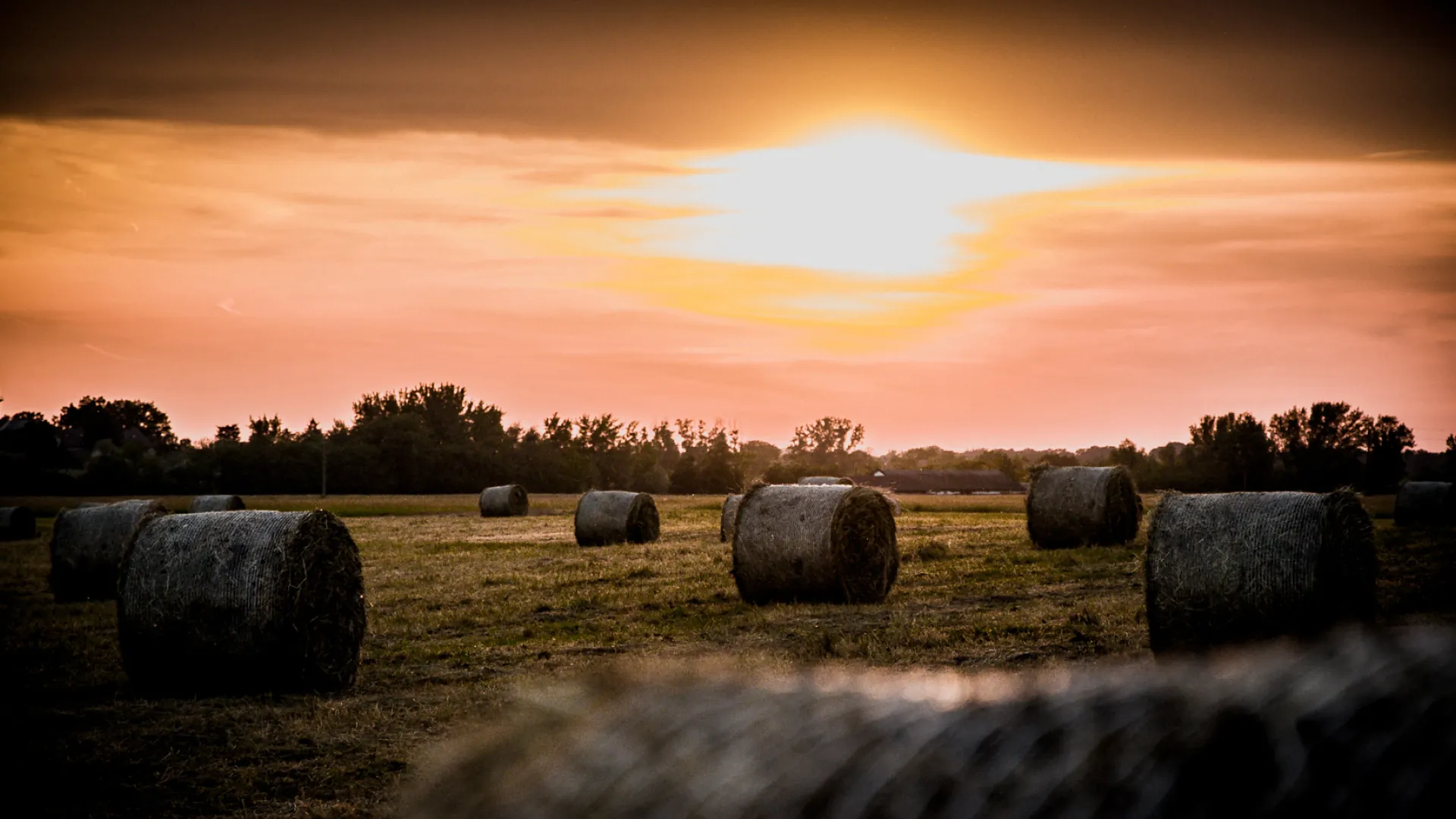 Tiszaföldvár helyi gazdaság - őszi hangulat