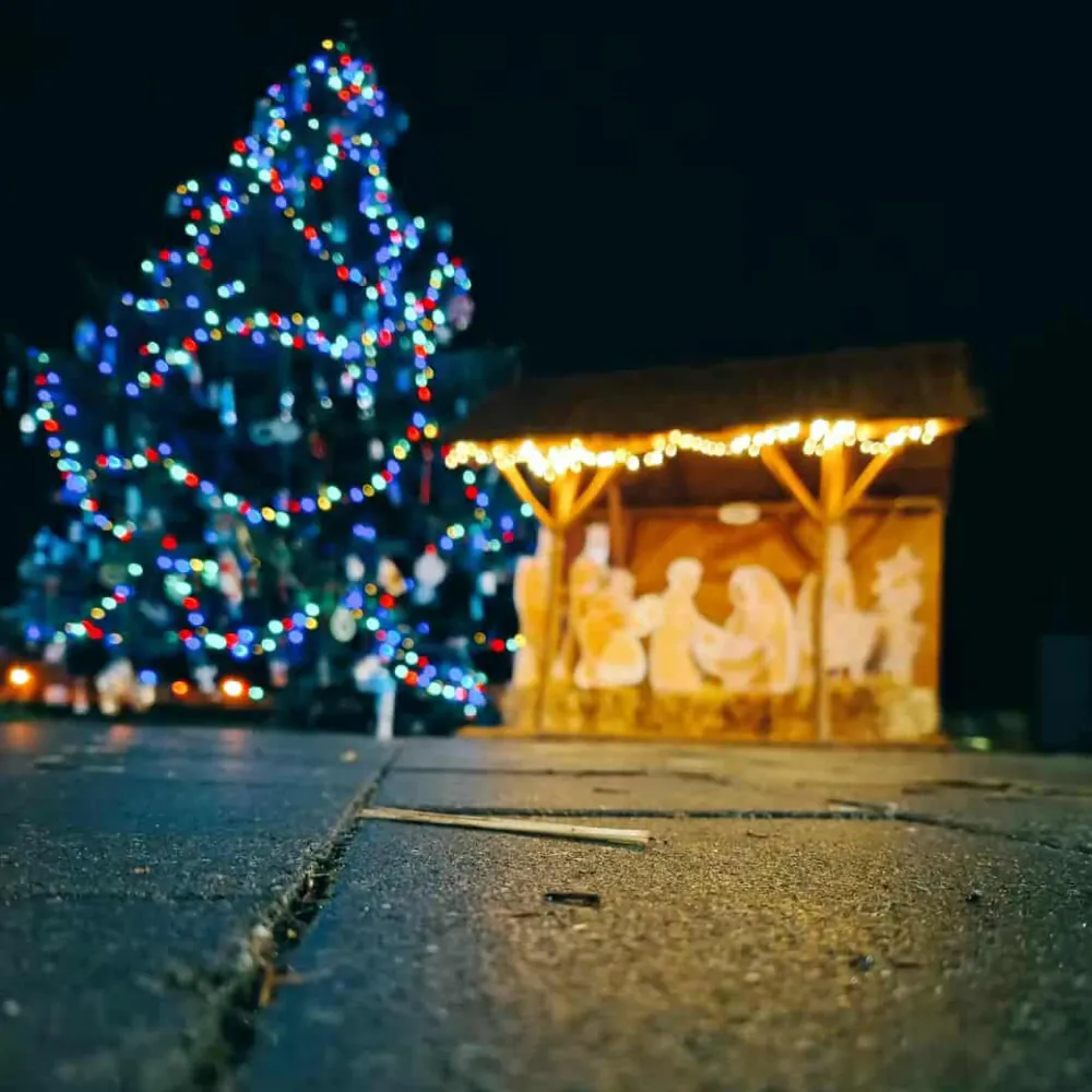 Tiszaföldvár kulturális élet