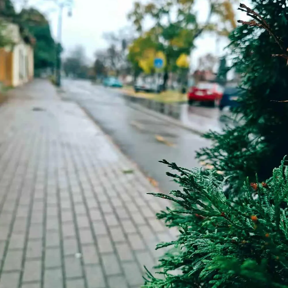 Tiszaföldvár közösségi eseményei és programjai - Közösségi élet