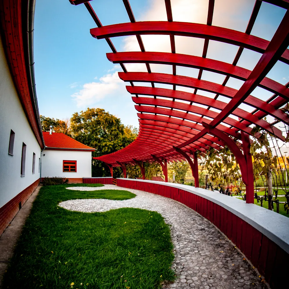 Tiszaföldvár közösségi eseményei és programjai - Közösségi élet