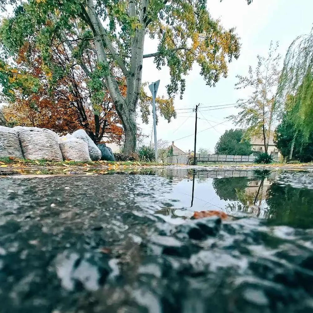 Tiszaföldvár közösségi eseményei és programjai - Közösségi élet