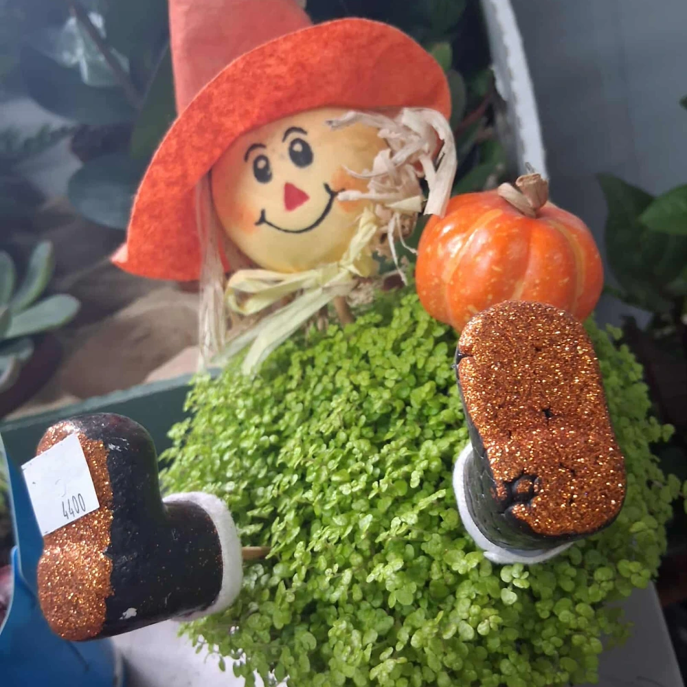 Amikor a virágokból élet születik - 2. szekció